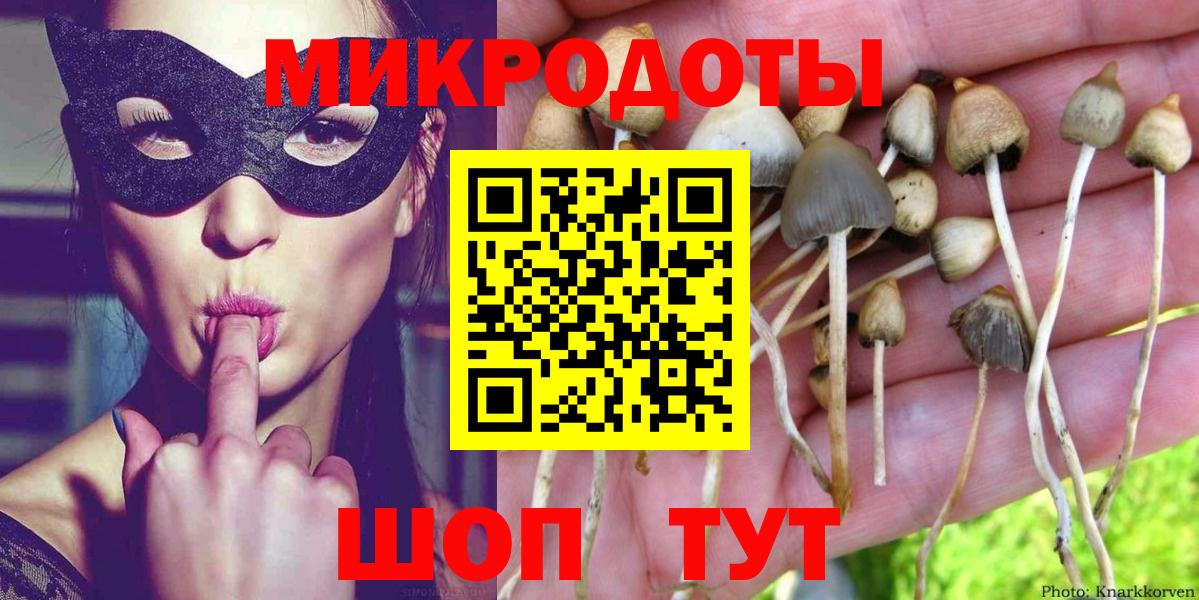 Псилоцибиновые грибы Cubensis Гатчина